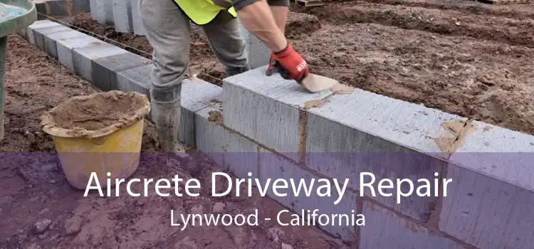 Aircrete Driveway Repair Lynwood - California