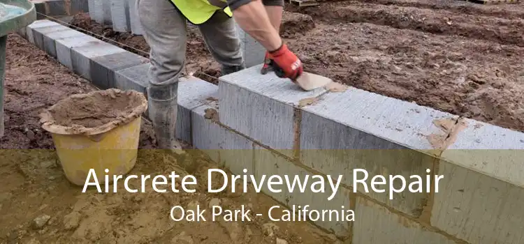 Aircrete Driveway Repair Oak Park - California