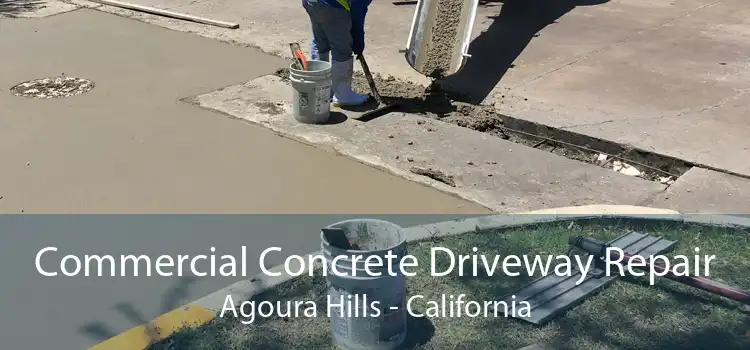 Commercial Concrete Driveway Repair Agoura Hills - California