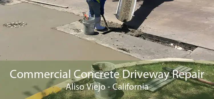 Commercial Concrete Driveway Repair Aliso Viejo - California