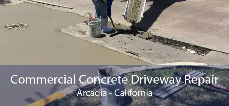 Commercial Concrete Driveway Repair Arcadia - California