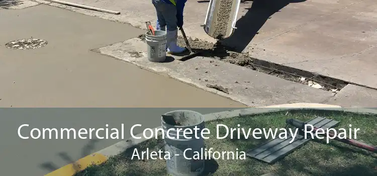 Commercial Concrete Driveway Repair Arleta - California