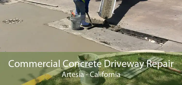 Commercial Concrete Driveway Repair Artesia - California