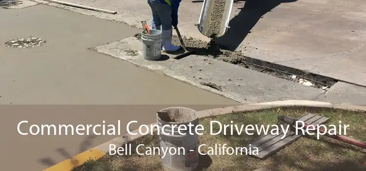 Commercial Concrete Driveway Repair Bell Canyon - California