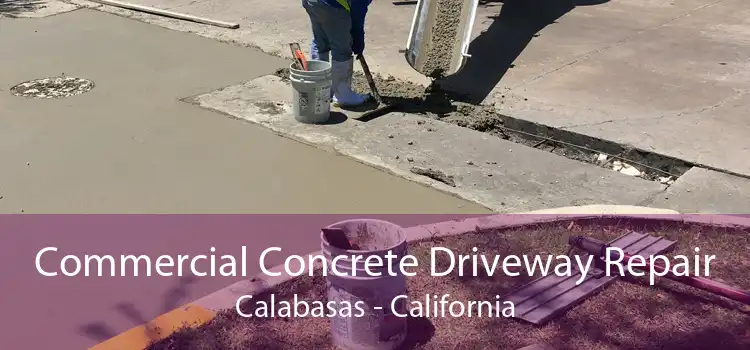 Commercial Concrete Driveway Repair Calabasas - California