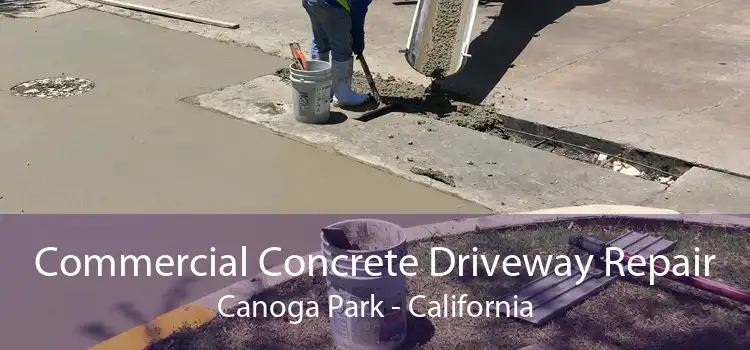 Commercial Concrete Driveway Repair Canoga Park - California