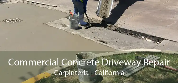 Commercial Concrete Driveway Repair Carpinteria - California