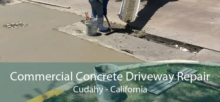 Commercial Concrete Driveway Repair Cudahy - California