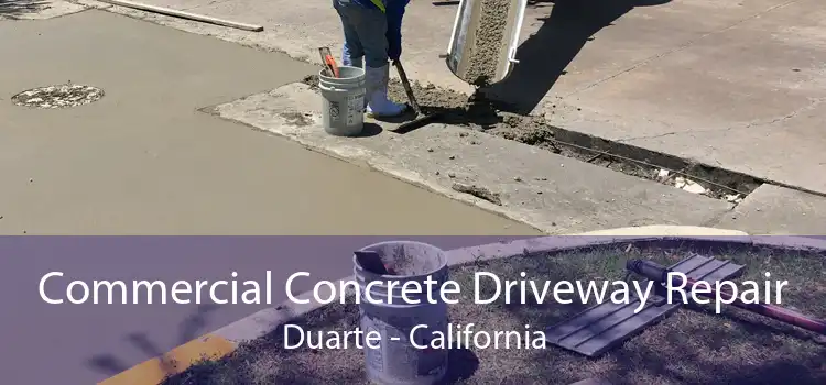 Commercial Concrete Driveway Repair Duarte - California