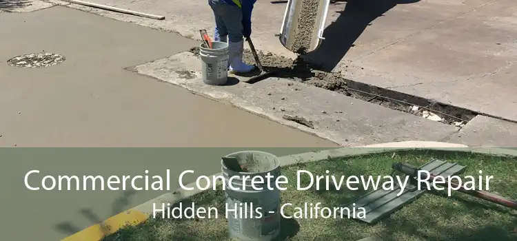 Commercial Concrete Driveway Repair Hidden Hills - California