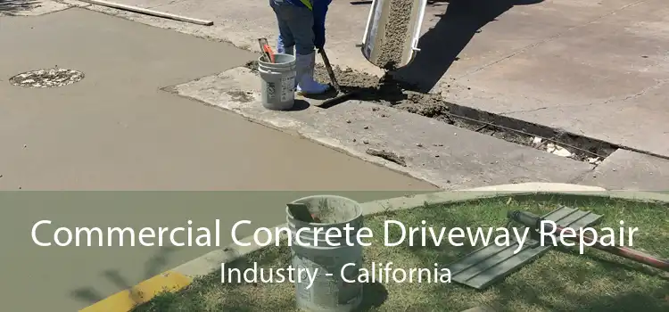 Commercial Concrete Driveway Repair Industry - California