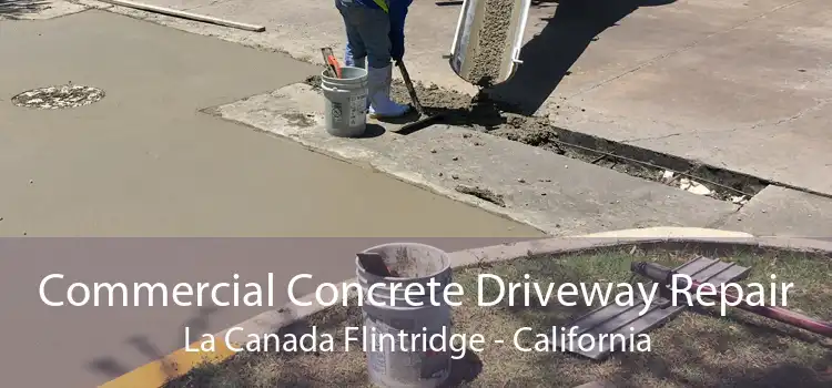 Commercial Concrete Driveway Repair La Canada Flintridge - California