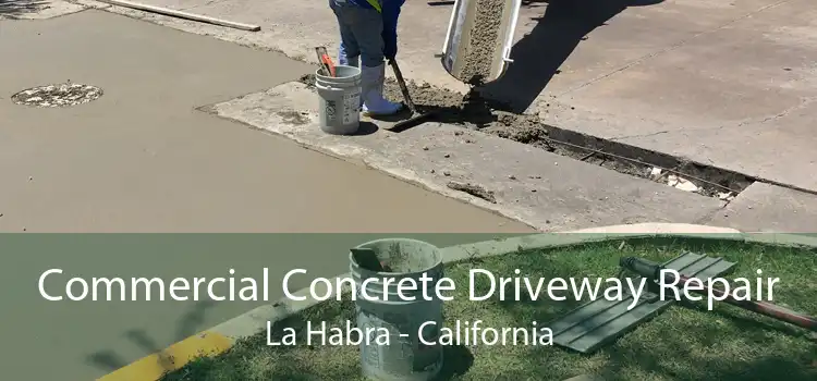 Commercial Concrete Driveway Repair La Habra - California