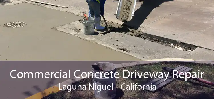 Commercial Concrete Driveway Repair Laguna Niguel - California