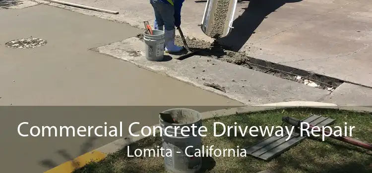 Commercial Concrete Driveway Repair Lomita - California