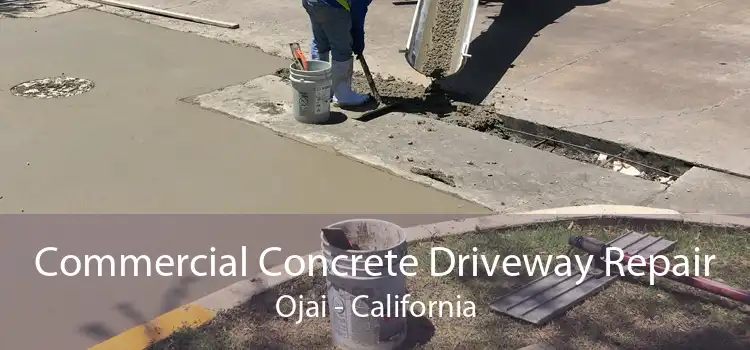 Commercial Concrete Driveway Repair Ojai - California