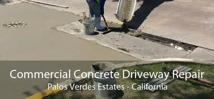 Commercial Concrete Driveway Repair Palos Verdes Estates - California