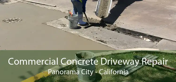 Commercial Concrete Driveway Repair Panorama City - California