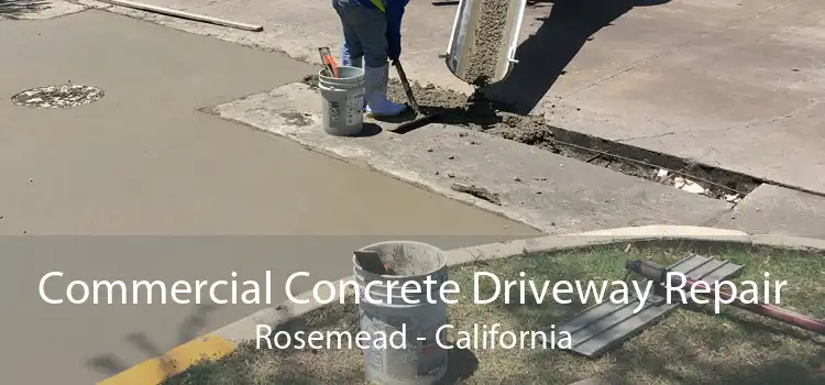 Commercial Concrete Driveway Repair Rosemead - California