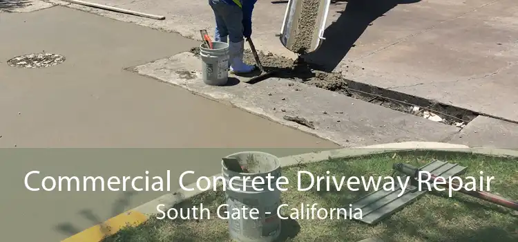 Commercial Concrete Driveway Repair South Gate - California