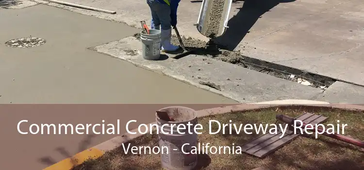 Commercial Concrete Driveway Repair Vernon - California