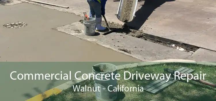 Commercial Concrete Driveway Repair Walnut - California