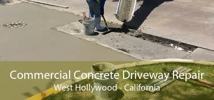 Commercial Concrete Driveway Repair West Hollywood - California