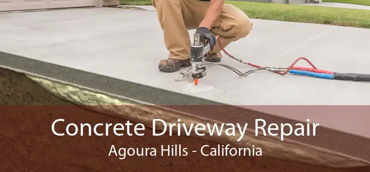 Concrete Driveway Repair Agoura Hills - California