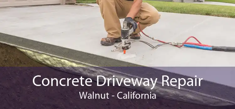 Concrete Driveway Repair Walnut - California