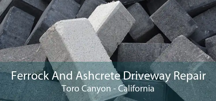 Ferrock And Ashcrete Driveway Repair Toro Canyon - California