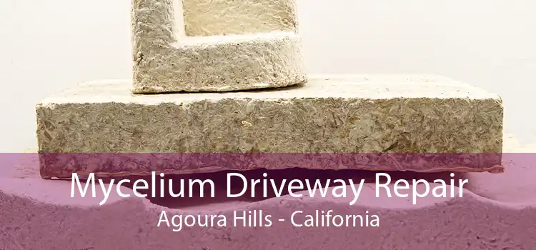 Mycelium Driveway Repair Agoura Hills - California