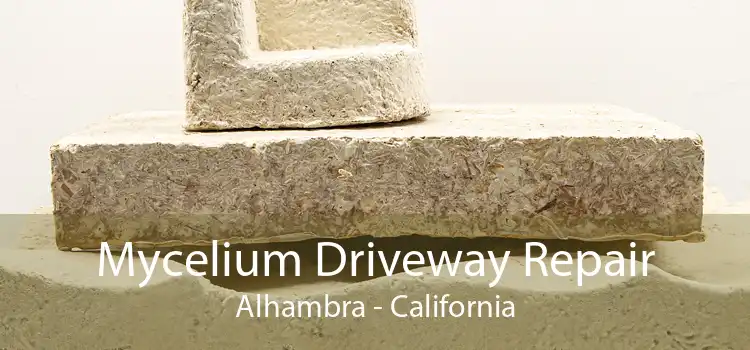 Mycelium Driveway Repair Alhambra - California