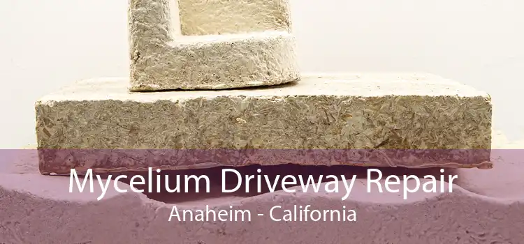 Mycelium Driveway Repair Anaheim - California