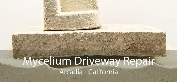 Mycelium Driveway Repair Arcadia - California