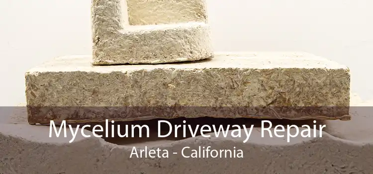 Mycelium Driveway Repair Arleta - California