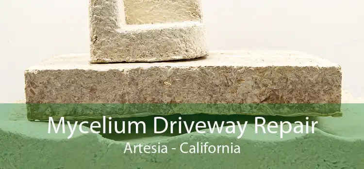 Mycelium Driveway Repair Artesia - California