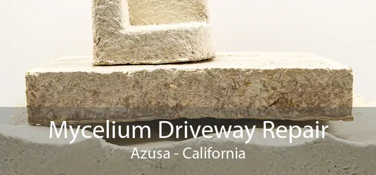 Mycelium Driveway Repair Azusa - California