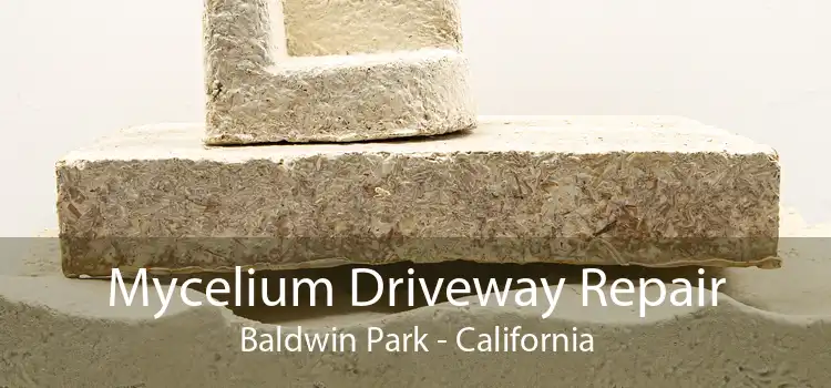 Mycelium Driveway Repair Baldwin Park - California