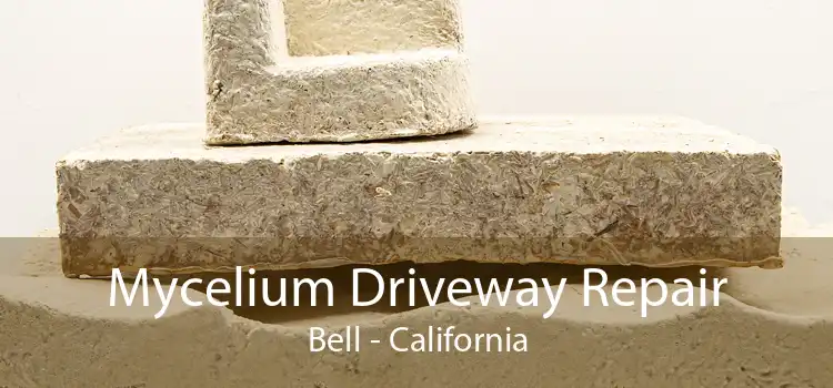 Mycelium Driveway Repair Bell - California