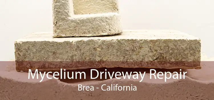 Mycelium Driveway Repair Brea - California