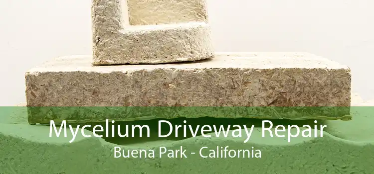 Mycelium Driveway Repair Buena Park - California