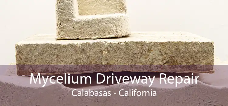 Mycelium Driveway Repair Calabasas - California