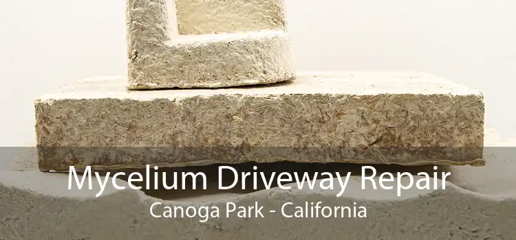 Mycelium Driveway Repair Canoga Park - California