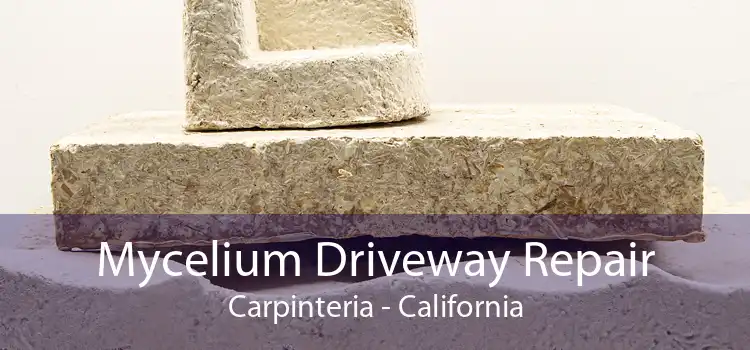 Mycelium Driveway Repair Carpinteria - California