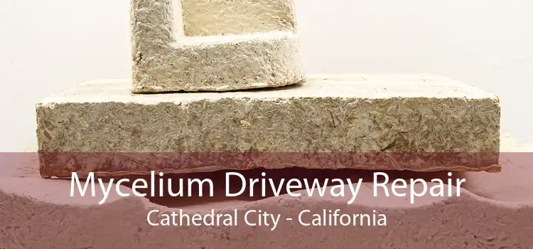 Mycelium Driveway Repair Cathedral City - California