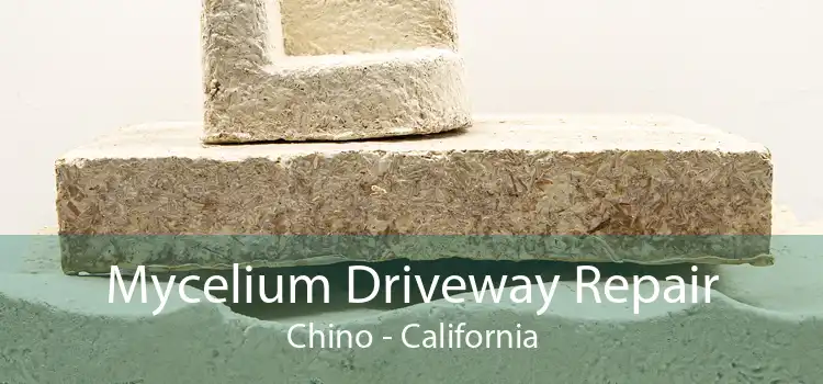 Mycelium Driveway Repair Chino - California