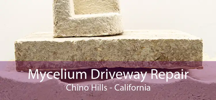 Mycelium Driveway Repair Chino Hills - California