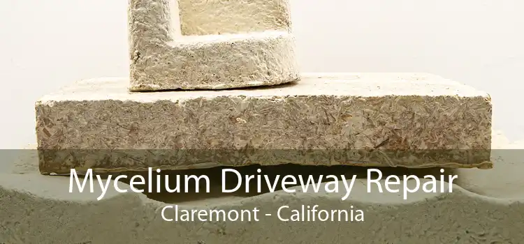 Mycelium Driveway Repair Claremont - California