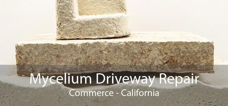 Mycelium Driveway Repair Commerce - California