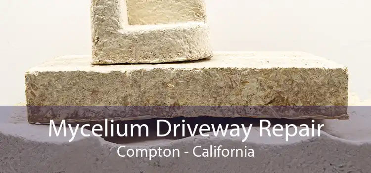 Mycelium Driveway Repair Compton - California